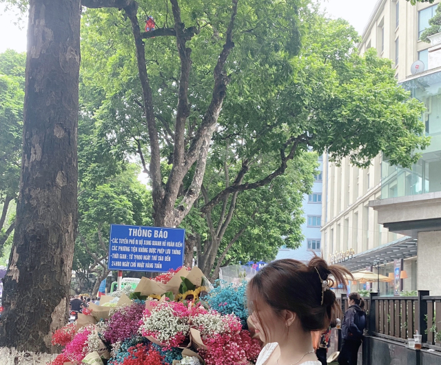 Nguyễn Thị Hà 